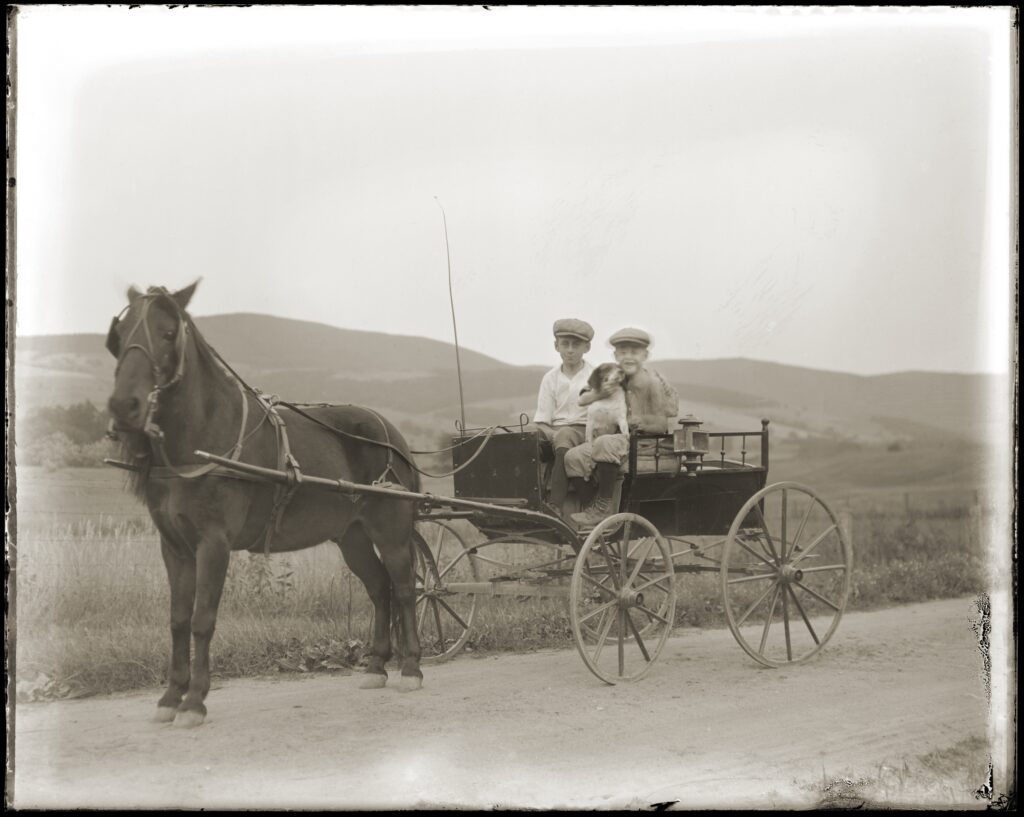 Horse-and-Buggy